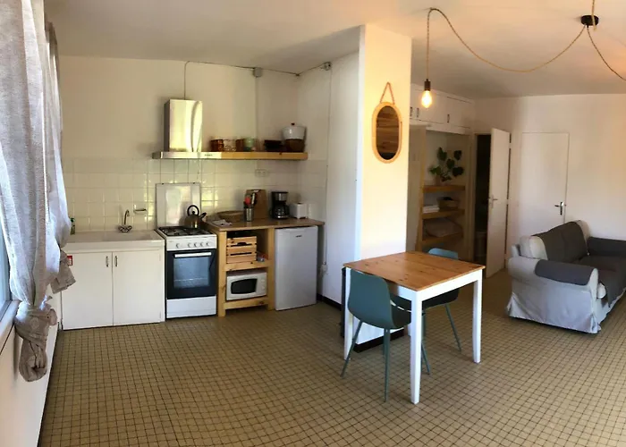 Le Drop In - T2 Au Rdc Avec Terrasse A 200M De La Plage - Well Located Apartment For Surfers